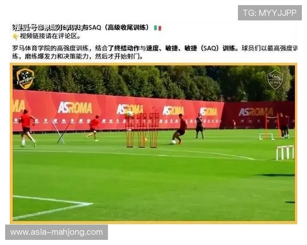 意甲球场开放政策，球迷组织呼吁安全措施